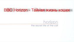 BBC. Horizon.    / BBC. Horizon. The Secret Life of the Cat [HDTVRip 720p] DUB