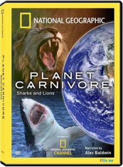   (1 . 4   4) / National Geographic. Planet Carnivore VO