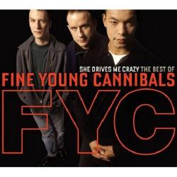 Fine Young Cannibals - She Drives Me Crazy - The Best Of (2CD)