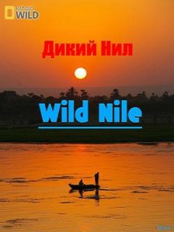   ( 1-3  3) / Wild Nile DUB