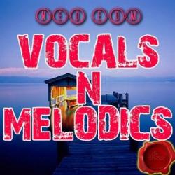 VA - Melodics Samples Hot Release