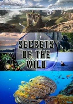    ( 1-3  3) / Secrets Of The Wild VO