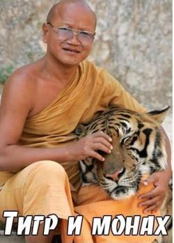    / The tiger and the monk