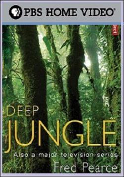    (3   3) / Deep Jungle VO