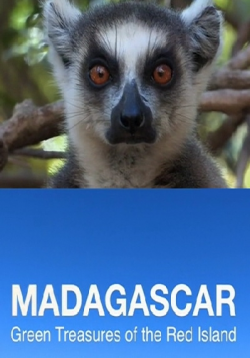 .     / Madagascar. Green Treasure of the Red island VO