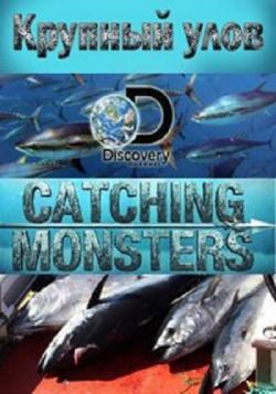   (1-5   5) / Discovery. Catching Monsters DUB