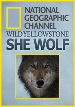  :  / National Geographic. Wild Yellowstone: She Wolf DUB