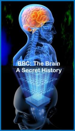 .   (1-3   3) / BBC. The Brain. A Secret History DVO