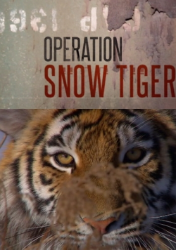     (01-02   2) / Operation Snow Tiger VO