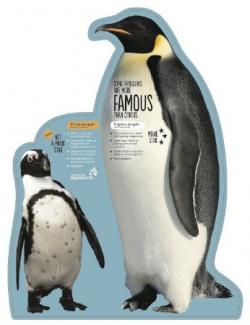   / National Geographic. A penguins life VO