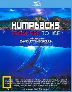  .     / Humpbacks. From Fire to Ice VO