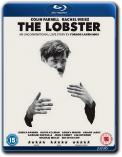  / The Lobster MVO