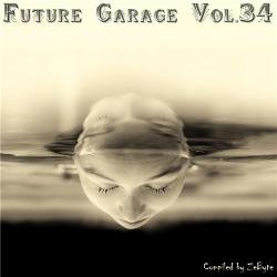 VA - Future Garage Vol.34