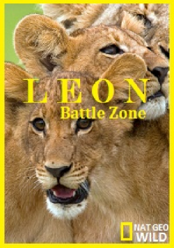   / Lion Battle Zone DUB