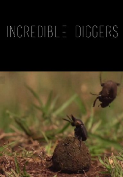   / Incredible Diggers VO