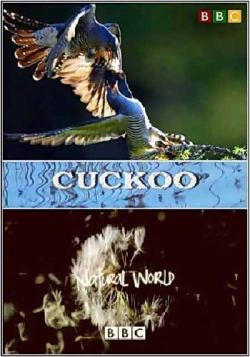  .  / The Natural World. Cuckoo VO