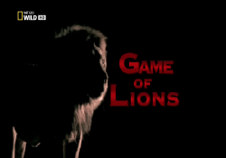   / Game of Lions DUB