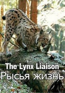   / The Lynx Liaison DUB