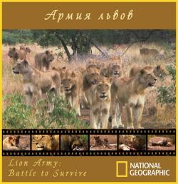  :    / National Geographic. Lion Army. Battle To Survive VO