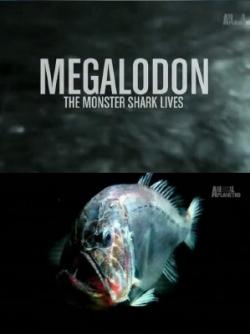 -:   / Animal Planet. Megalodon: The Monster Shark Lives VO