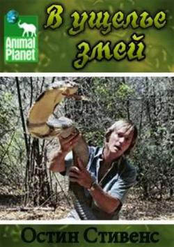   -    / Animal Planet. Austin Stevens - Valley of the Snakes VO
