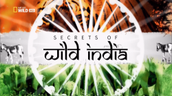     (1-3   3) / NAT GEO WILD. Secrets of Wild India DUB
