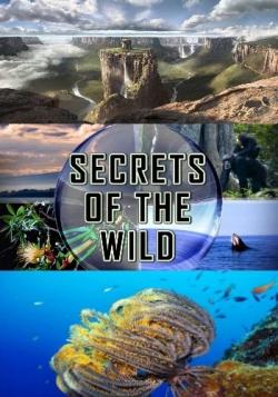    (1-3   3) / National Geographic. Secrets Of The Wild VO