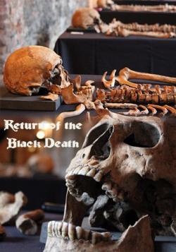    / Return of the Black Death DVO