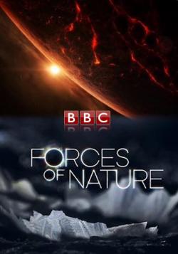   (1-4   4) / Forces of Nature DUB