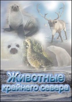    / Les Animaux Du Froid / Animals of the cold VO