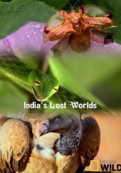    (1 : 3   3) / India's Lost Worlds DUB