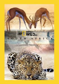  .   (1-3   3) / Wild South Africa VO