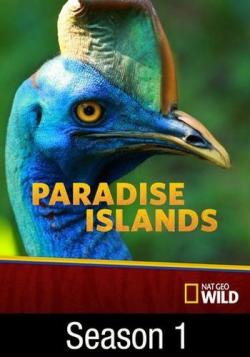   (1 : 1-3   3) / Paradise Island VO