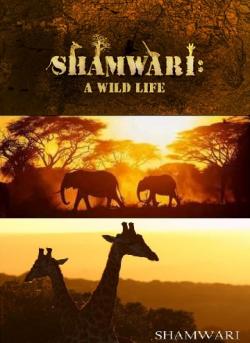 :    (1-15   15) / Shamwari: A wild life DUB