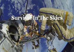    (1-4   4) / Survival In The Skies VO