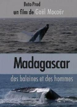 :    / Madagascar: des Baleines et des hommes DVO