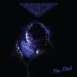 Priest - New Flesh