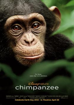  / Chimpanzee DUB