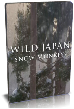 .   / NAT GEO WILD. Wild Japan. Snow monkeys VO