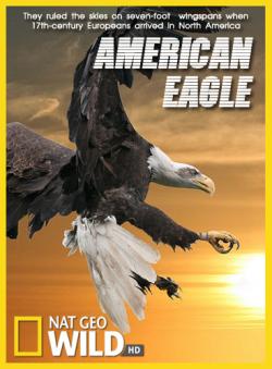   / NAT GEO WILD. American Eagle VO