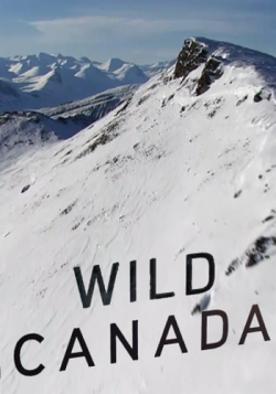  :   / Wild Canada VO
