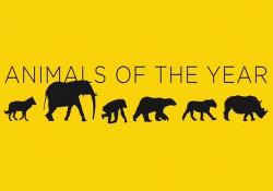   / Animals of the Year VO