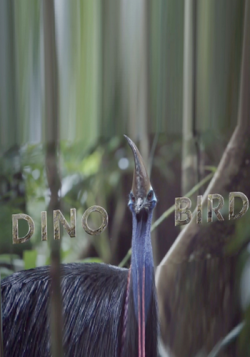 - / NAT GEO WILD. Dino-Bird VO