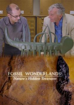  :    / Fossil Wonderlands: Nature's Hidden Treasures VO