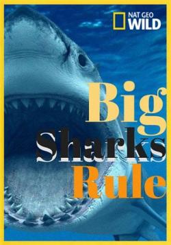    / NAT GEO WIND. Big Sharks Rule VO