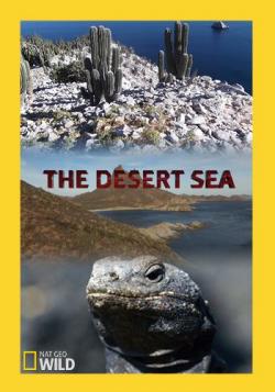   (1-2   2) / NAT GEO WILD. The Desert Sea VO