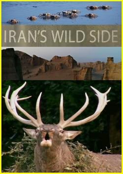    / NAT GEO WILD. Iran's Wild Side VO