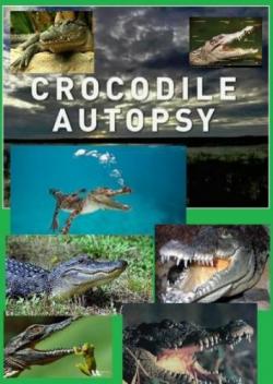   / National Geographic. Crocodile autopsy DUB
