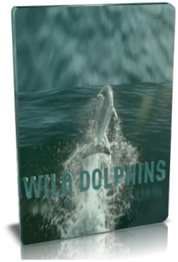   / NAT GEO WILD. Wild Dolphins VO