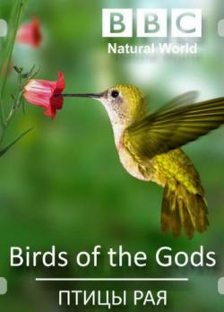   / Natural World. Birds of Paradise DVO